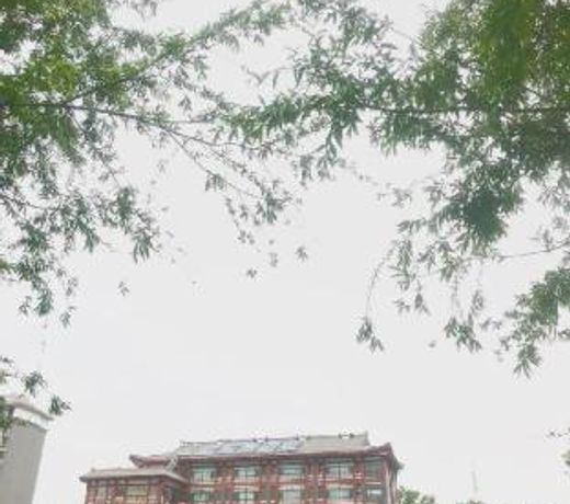 Ji Hotel Qufu Sankong Scenic Area