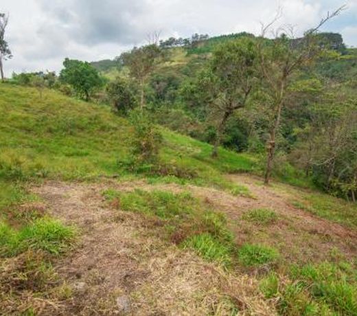 Primavera Ecoalbergue