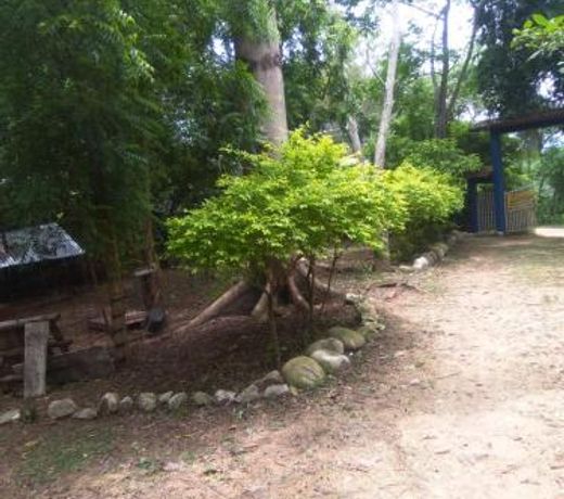 Laureana Hotel Campestre