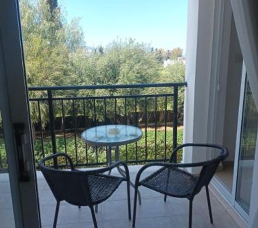 Apartment Oasis