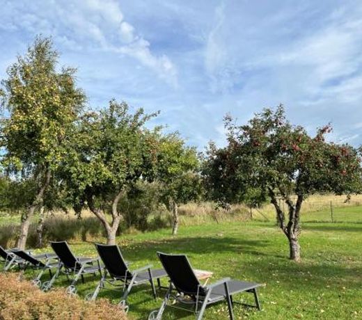 Ferienhaus Libelle fur 14 Personen - Haupthaus und Nebenhaus