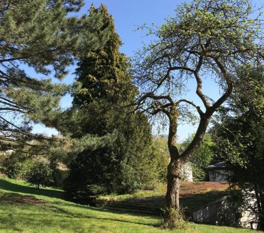 Ferienapartments Engeln Eifel