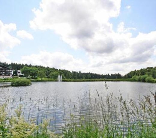 Apartment, Hahnenklee