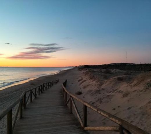 Sol y Mar II