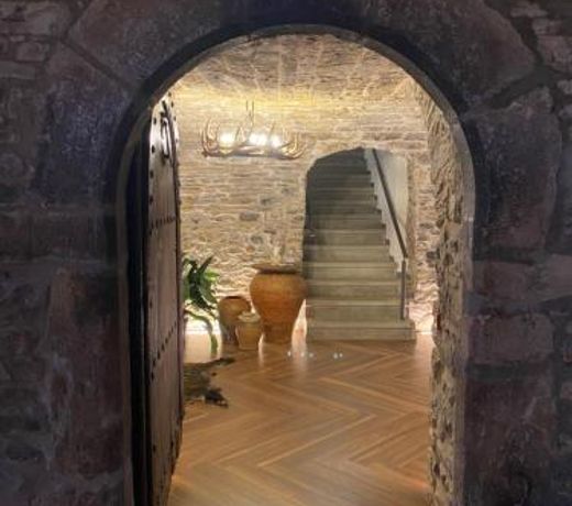 Casa Altemir