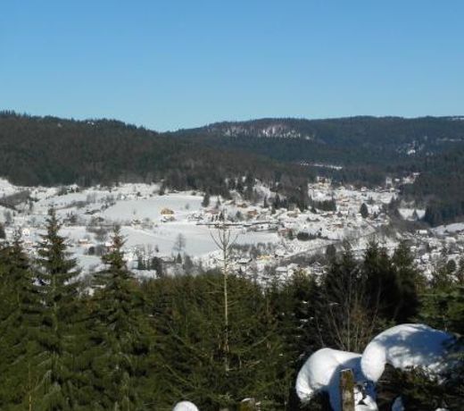 APPT 3* LE HAUT DES LACS