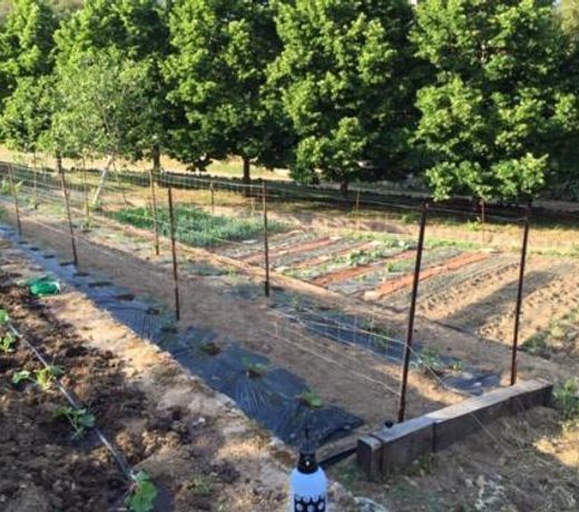 Appartement de 2 chambres avec jardin amenage et wifi a Moltifao