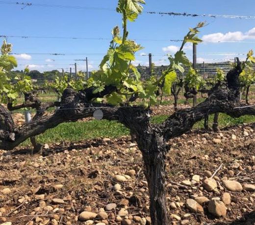 HÃ´tel La Bonaventure Jezainville