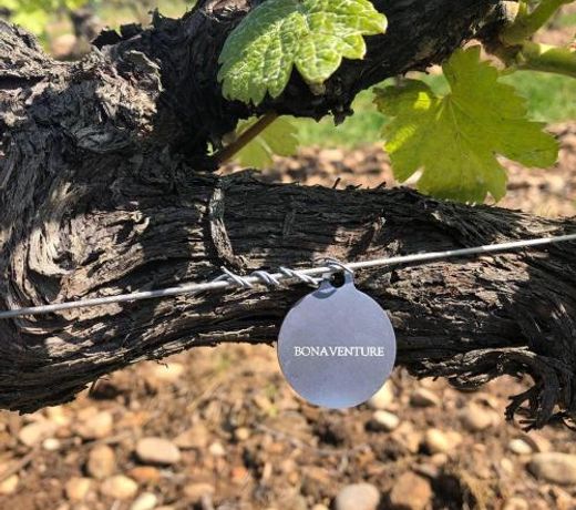 HÃ´tel La Bonaventure Jezainville