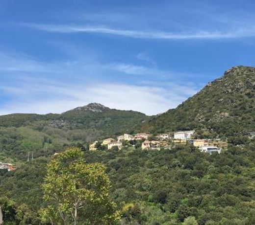 Charmant T2 Hauteurs de Bastia