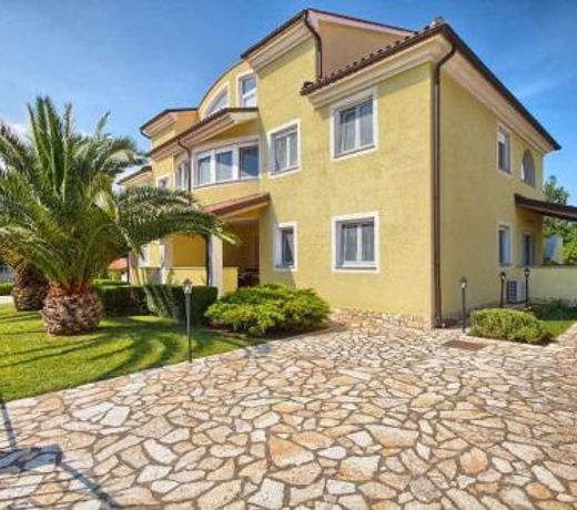 Apartment in Premantura/Istrien 33043