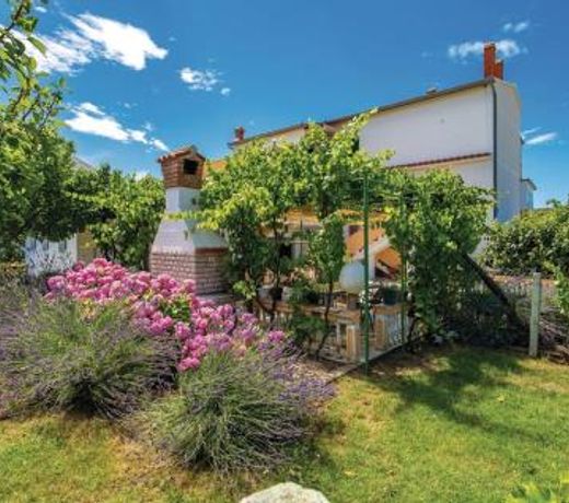 Hause Lupic