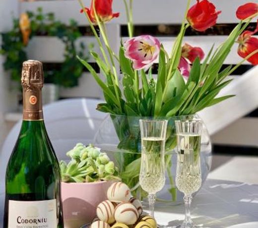 Nadi's Holiday Home â Heart of Woods, Szentendre Island