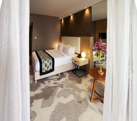 Clarks Inn Suites Raipur
