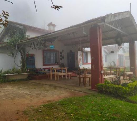 The Birdhouse Backpackers Hostel