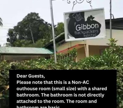 Gibbon Backpackers Hostel