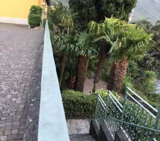 Casa Garden