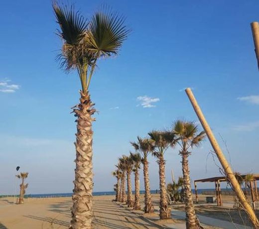 Appartamento Maestri