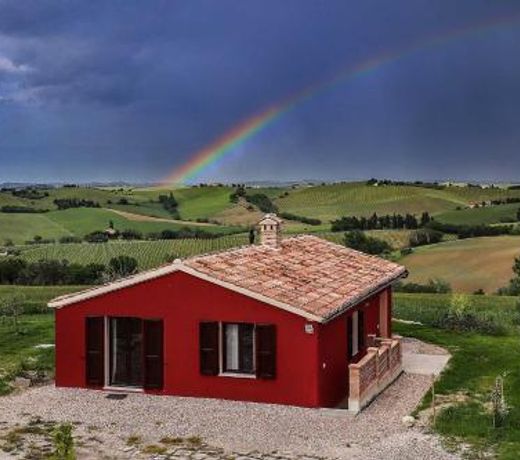 La Chioccia