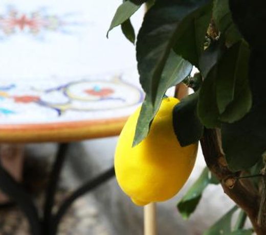 La Terrazza dei Limoni