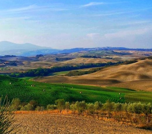 Podere Poggio Salto