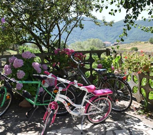 B&B NEL VERDE