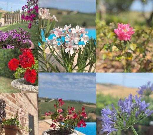 B&B Casa Fanny Riviera Del Conero