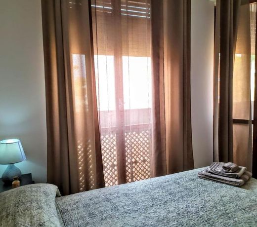B&B Libellula