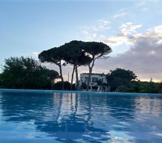 Tenuta DonnAnna