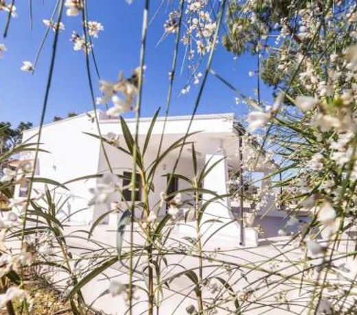 Casina Anna Maria