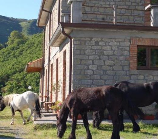 Agriturismo Il Capitano