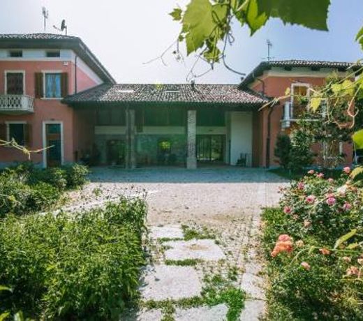 IN VIRIDI