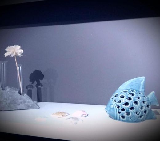 La casa del pesciolino - The little fish house