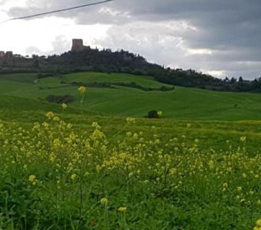 La Casa del susino