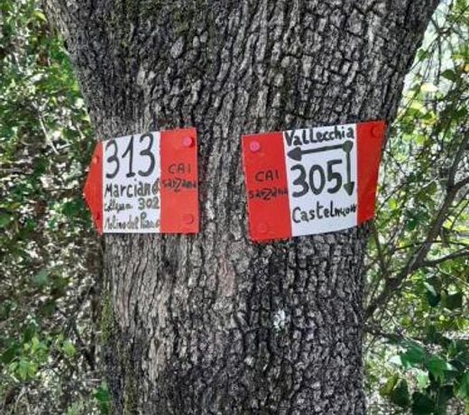 Fattoria Cristina - Bilo Verde
