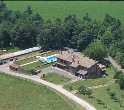 Il Palluccaro