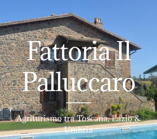Il Palluccaro
