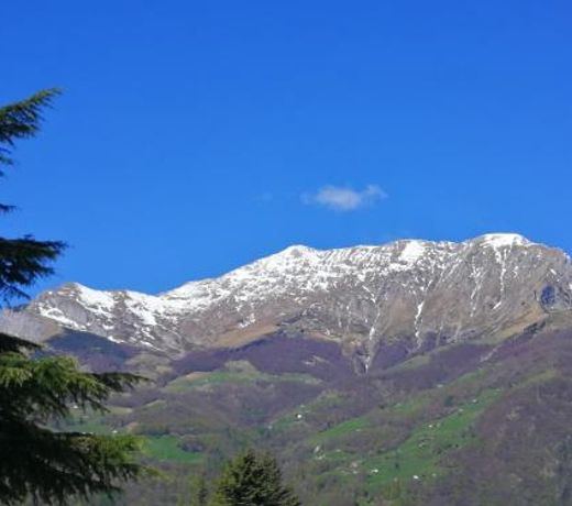 Stella delle Grigne