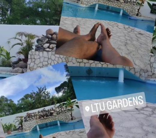 Ltu Garden