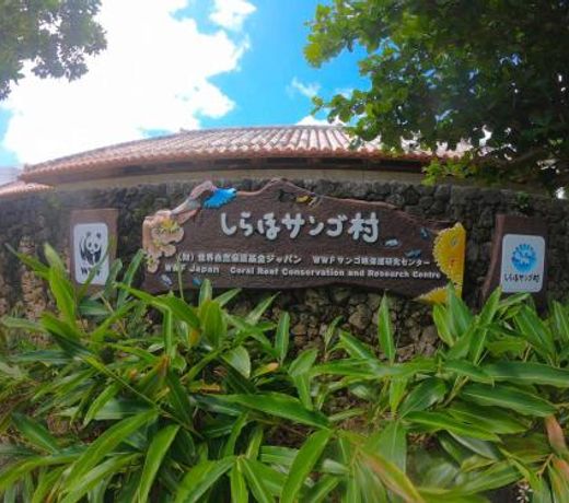2019æ°ç¯ ! guest house Holoholo beach side