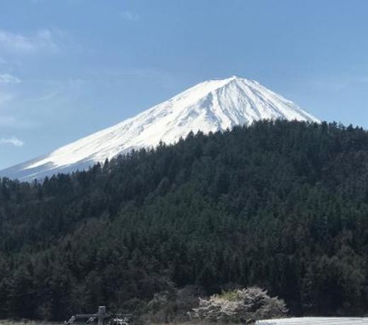 Fujibou Hotel