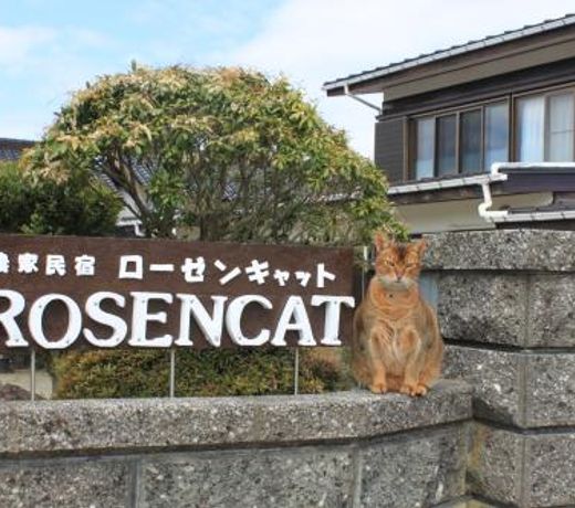 Rosencat