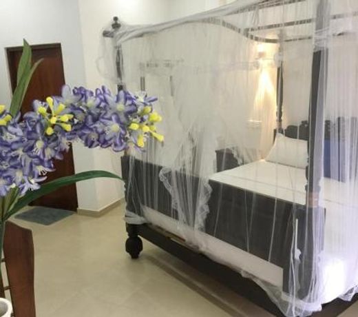 Galle Fantacy