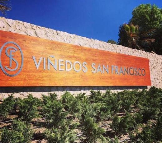 Viñedos San Francisco
