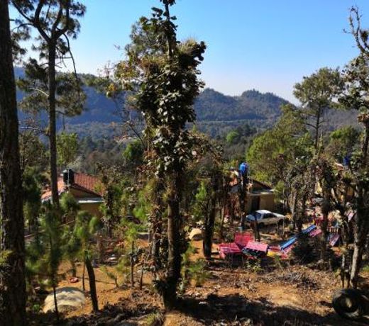 RENTA DE CABAÃAS, Centro Ecoturistico Rural Sustentable Labor San Jose