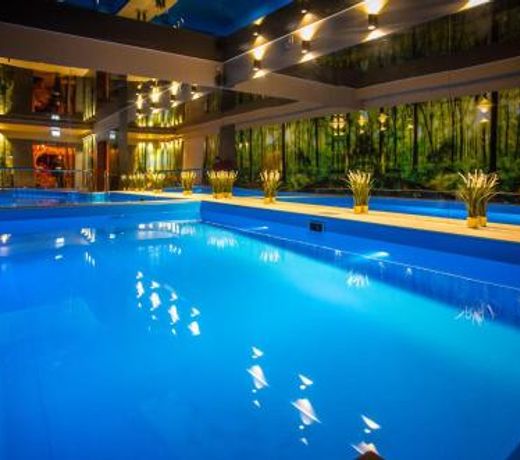Srebrny Bucznik Wellness & Restaurant