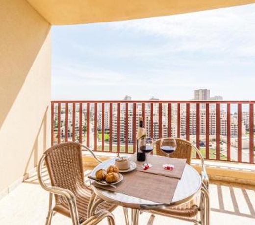 Rocha Ocean View