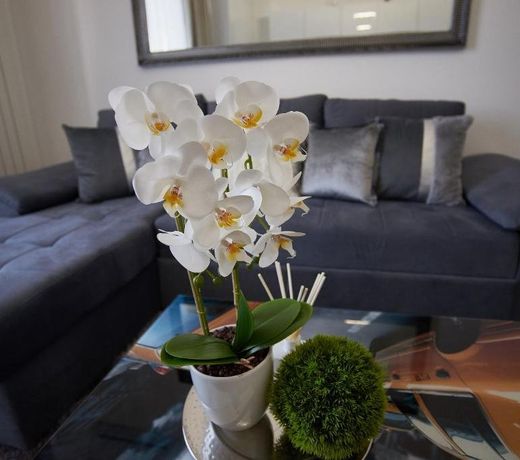 Metropole Apartments Old Town