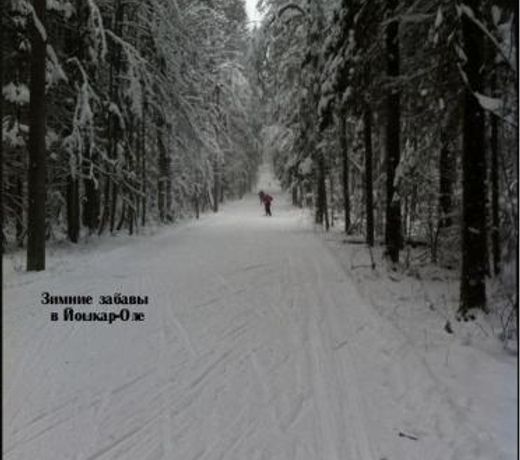 Nikitin Hotel