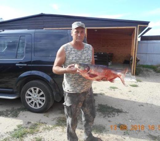 Dom Rybaka Guest House